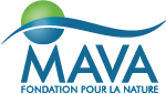 MAVA Foundation